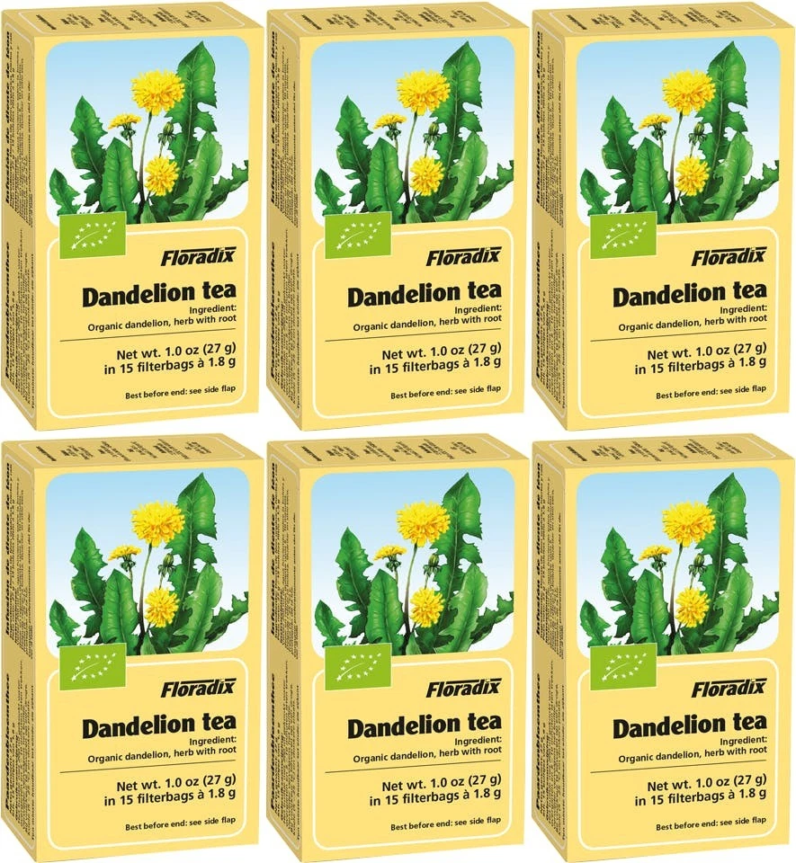 Floradix Herbal Tea Dandelion 15 Teabags X 6