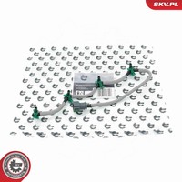 Esen SKV Schlauch Leckkraftstoff 54SKV306 FüR Ford Fiesta 6 CB1 CCN Van Transit