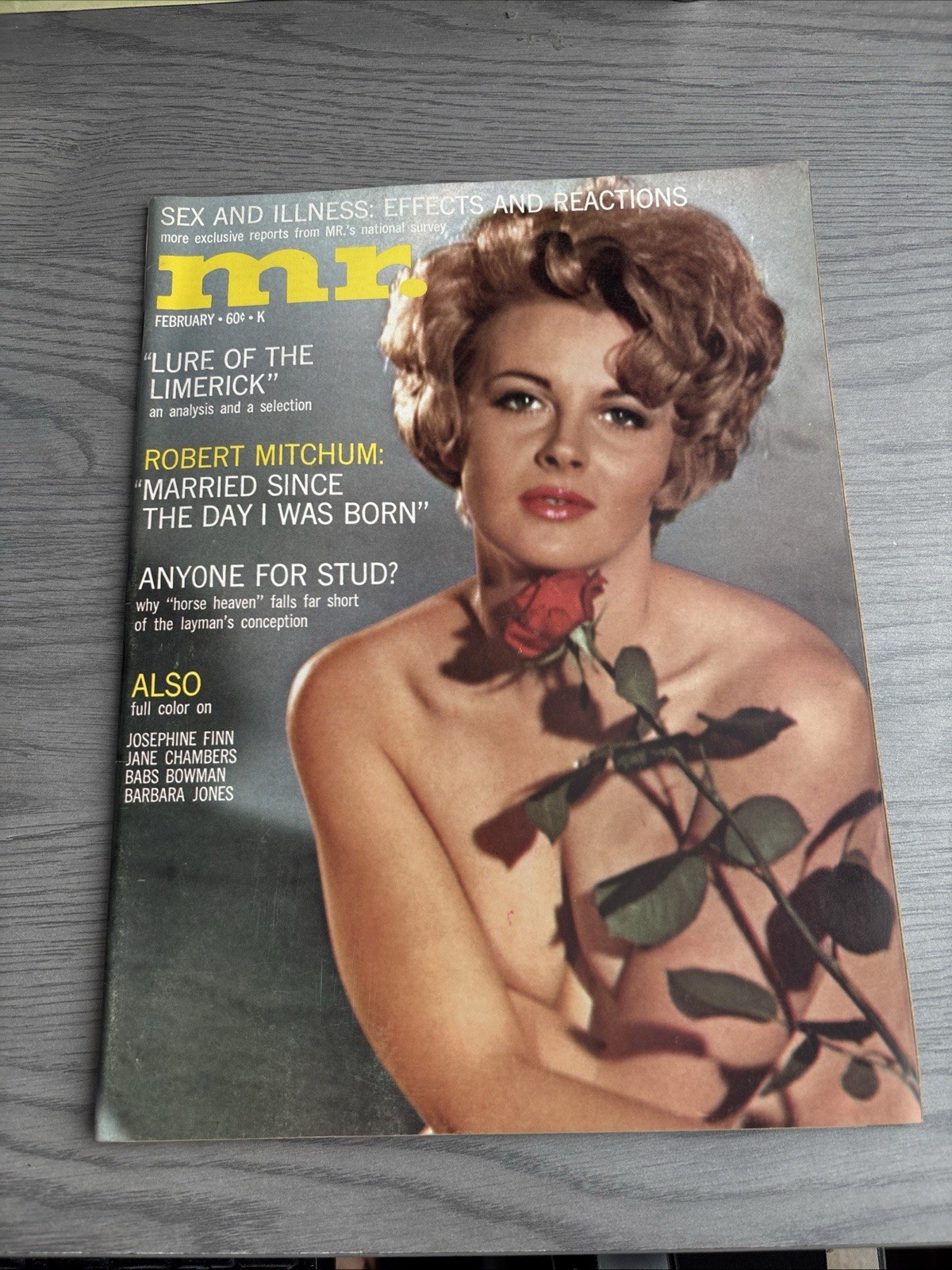 MR.  FEBRUARY  1968  – Vintage Pinup Magazine