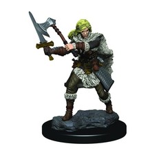1x D D Premium Painted - Human Barbarian Female - New in Box