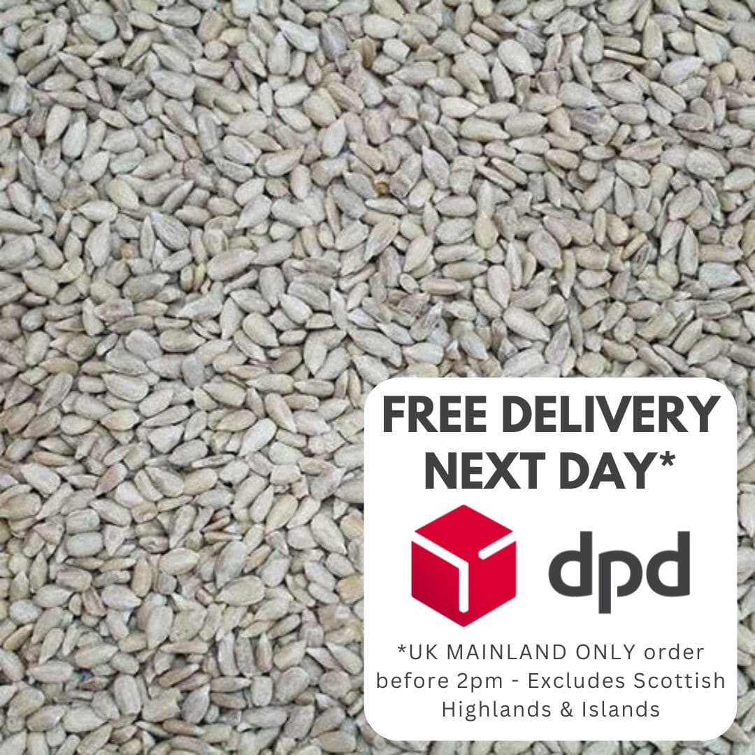 Premium Sunflower Hearts Wild Bird Food 28kg (2x14kg) Bakery Grade, No Mess Seed