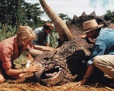LAURA DERN signed autograph 20x25cm JURASSIC PARK in person autograph COA