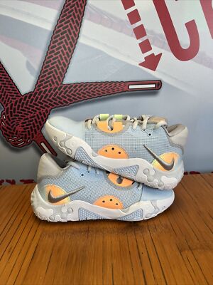 シューズ(男性用) NIKE PG6 国内4/13発売】Nike PG 6 NRG EP