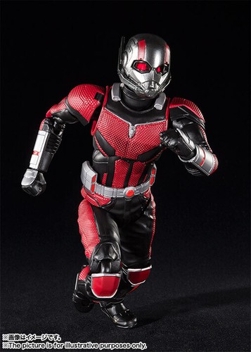 ¡NUEVO! Bandai Tamashii Nations S.H. Figuarts Marvel Ant-Man and The Wasp. Ant-Man - Imagen 5 de 8