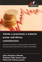 Valute A Pressione E Materie Prime Nell'africa Subsahariana Woode (U. A.) Buch