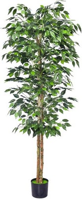HAIHONG 1Pack 6FT Artificial Ficus Tree with Realistic Leaves and Natural Trunk,