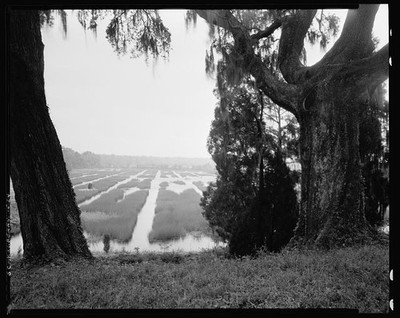 Mulberry Moncks Corner Berkeley County South Carolina 1938 Marsh View