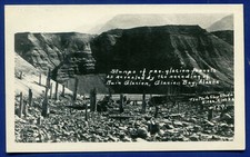 Foto postal Pre-Glaciar Bosques Tocones Muir Glacier Bay Alaska al