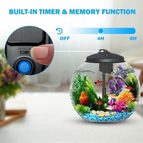 Lebendiges 3-Gallonen Aquarium Kit mit LED-Licht & Netzfilter - Ideal für Betta - Bild 7 von 8