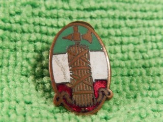 Distintivo PFN Cimice Partito Fascista 1° Tipo