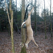 Palan à cerfs monté sur arbre Viking Solutions Kwik