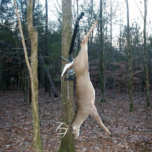 Viking Solutions Kwik Hoist Tree-Mounted Deer Hoist