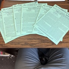 Complete 1993 The Currency Dealer Newsletter Greensheet Monthly Report 12 Issues
