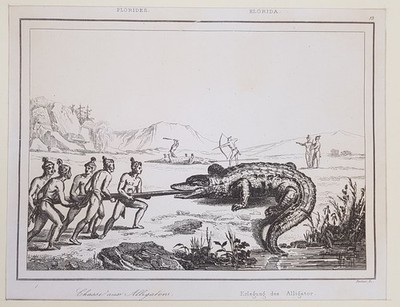 Chasse Aux Alligators Boîtier 1838 Environ Canada Alligator