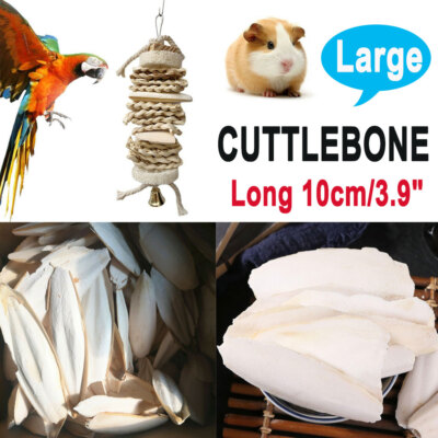 10-50PCS  3.94'' Cuttlebone Cuttlefish Bone Sepia Fish Bird Calcium Foods