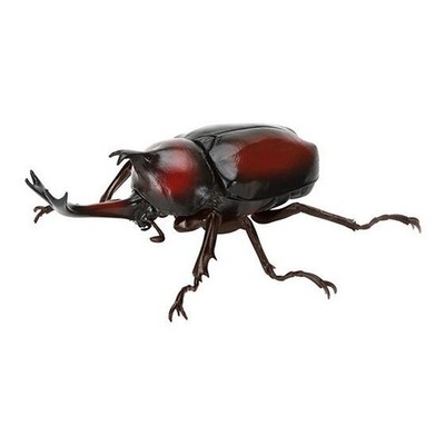 Encyclopedia of Living Creatures Rhinoceros Beetle 09 Complete Set