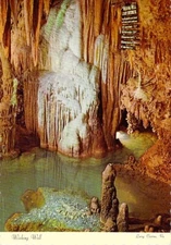 Wishing Well-Caverns of Luray-Virginia Vtg Postcard M22