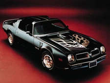 1976 PONTIAC FIREBIRD TRANS AM (BLACK -BIRD) POSTER 24 X 36 INCH