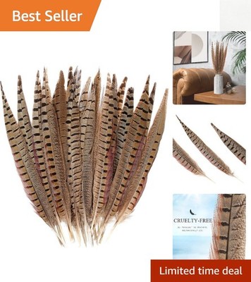 Natural 20pcs Male Pheasant Tail Feathers 8-10inch for DIY Weddings & Home Decor