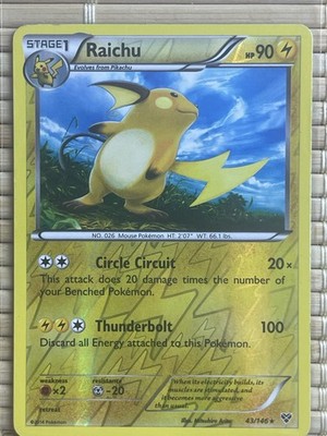 Raichu XY 43/146