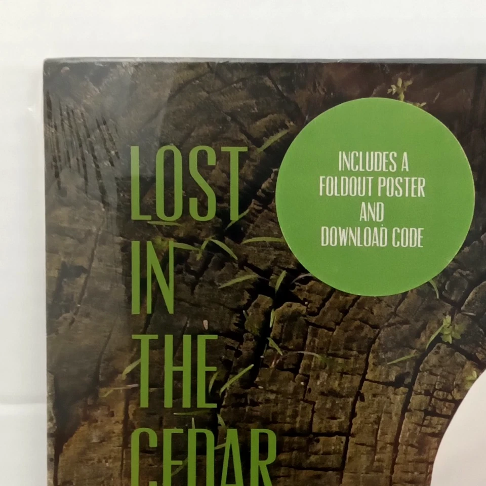 Johnny Flynn & Robert MacFarlane – Lost In The Cedar Wood UK LP + Poster Used F1 - Изображение 3 из 4