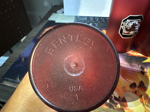 Paquete de 4 vasos Gamecocks de Carolina del Sur de 20 oz NUEVO sin caja Bentley Drink Ware - Imagen 3 de 3