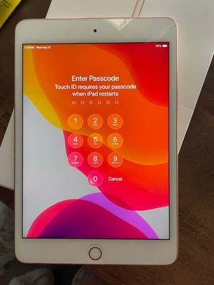 Apple iPad mini (5th Generation) A2133 256 GB, Wi-Fi, 7.9 in