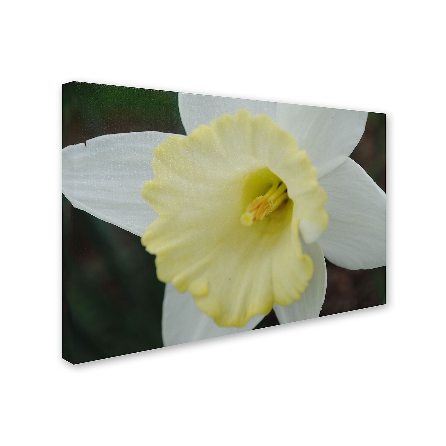 Trademark Monica Fleet "InDepth" GalleryWrapped Canvas Art 30" x 47