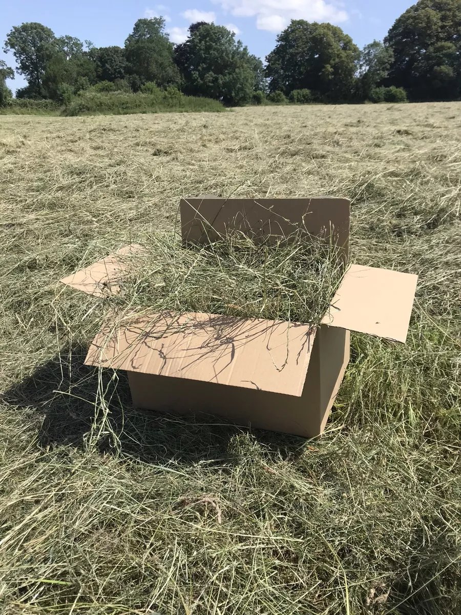 Organic hay for rabbits cheap