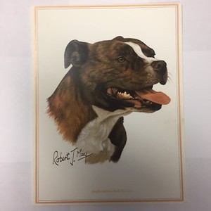 STAFFORDSHIRE BULL TERRIER Greeting Card Robert J May Notecard Frameable UK