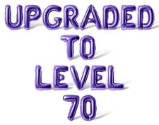 UPGRADED TO LEVEL 70 Letter Balloons Banner - 70th Birthday Party Decorations