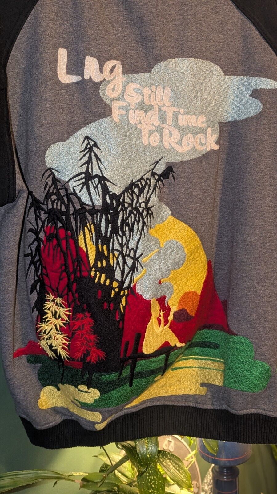 Picture 4 of 13