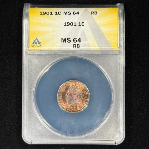 1901 1C MS64 RB ANACS Toned Indian Head Cent - Lovely Coin