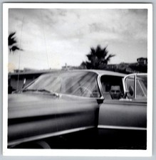 Vtg B&W Snapshot Man In Classic Car By Beach Palm Trees 1961
