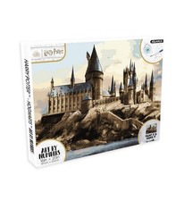 Harry Potter Paint by Number Kit 16x20 Art Craft Set for Beginners - NEW
