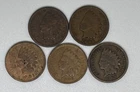 1896 1899 1901 1906 1907 Indian Head Cent Lot of 5