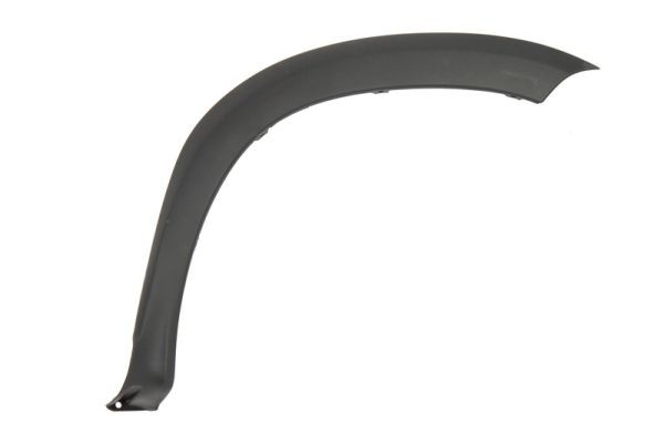Right Front BLIC 5703-08-1305378P Trim/Protection Strip, wing for DACIA,RENAULT