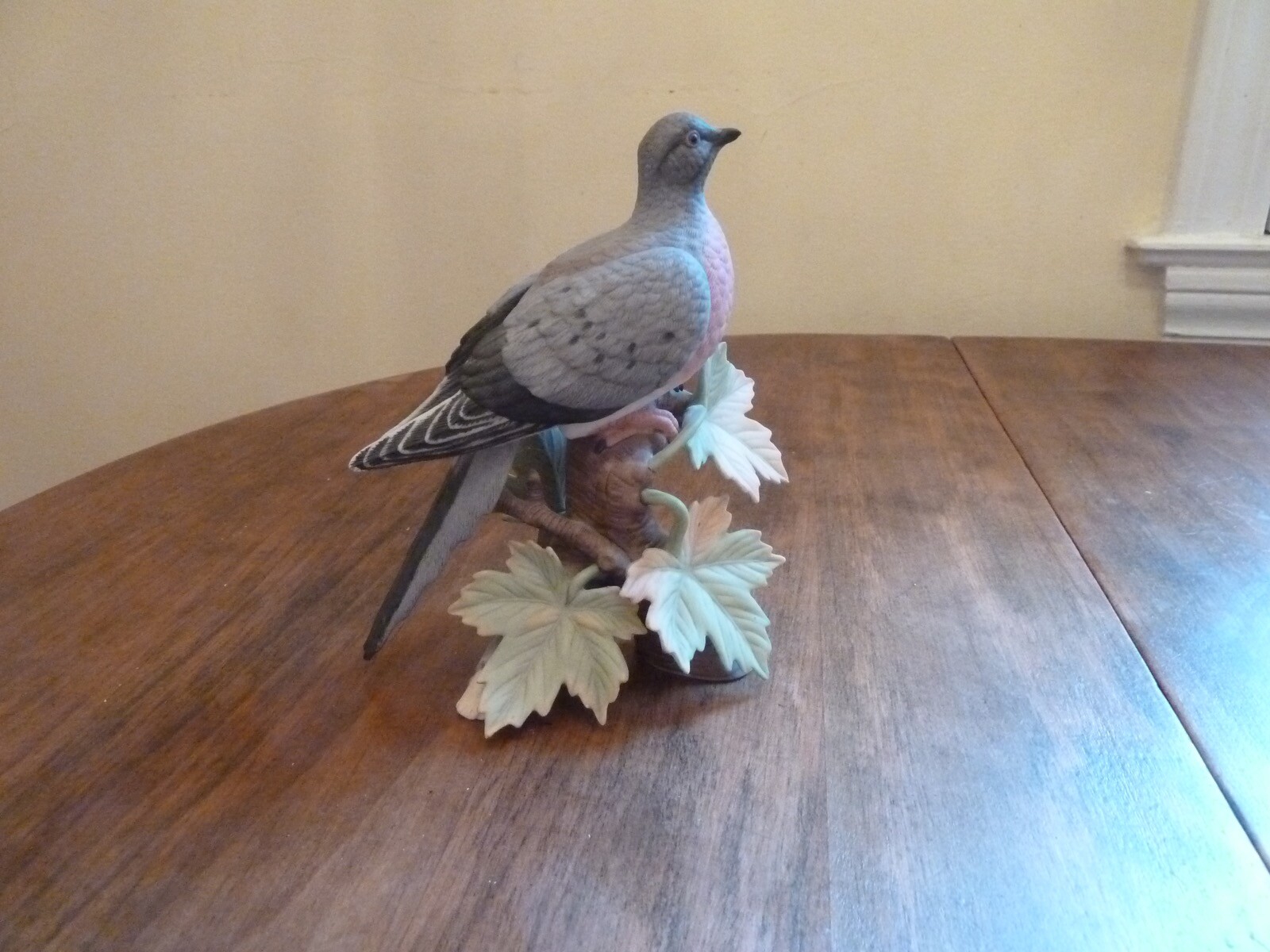 Picture 5 of 12