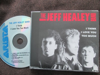 Jeff Healey Band    I Think I Love You Too Much Arista Records 663280 CD Single