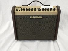 Fishman Loudbox Mini
