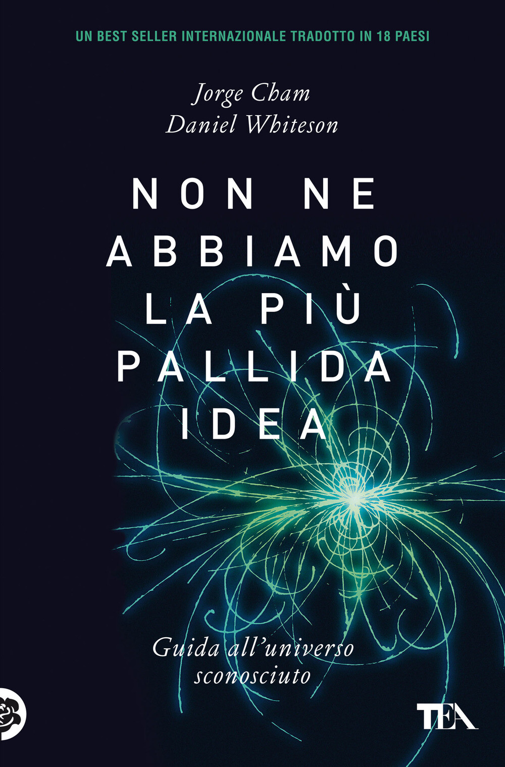 Non ne abbiamo la più pallida idea. Guida all'universo sconosciuto - Cham ...