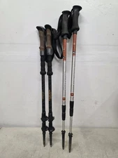 Cascade Mountain Tech Walking Sticks & REI Traverse Walking Sticks Poles