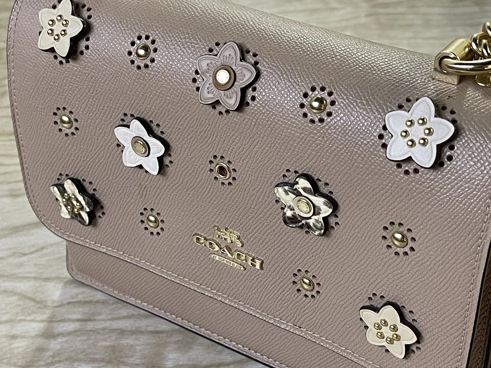 Coach RARA borsa a tracolla limitata trasparente floreale pelle catena tortora rettile