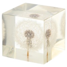 Real Dandelion Resin Cube Paperweight, Clear Flower Specimen Block Display, B...