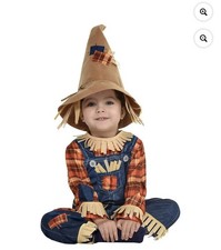 Tiny Scarecrow Boy  s Unisex Infant/Toddler 12-24 Month Halloween Costume EUC