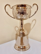 ? Silver Trophy 12? | UnEngraved | Vintage Cup | Award Display or Repurpose #W