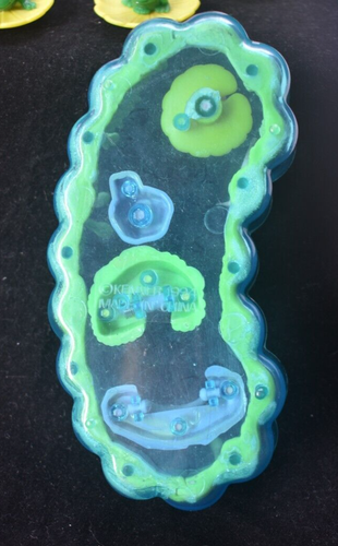 Vintage Littlest Pet Shop Jump’n Splash Frogs With Pond Complete Kenner 1994 - Picture 6 of 7