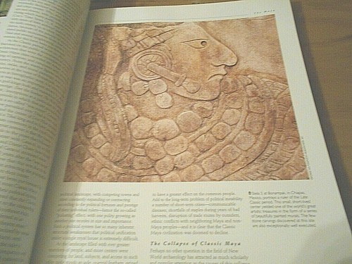 New World and Pacific Civilizations - Cultures of America, Asia, and The Pacific - Picture 8 of 12