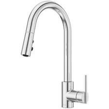 Pfister GT529-BIC - Kitchen Faucet