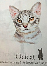 11 Ocicat Cat 8 X 8 inch Fabric Quilt Squares or Pillows